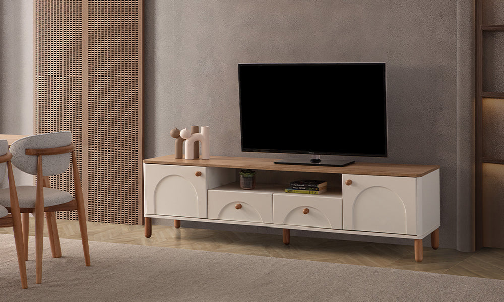 tera modern tv unitesi