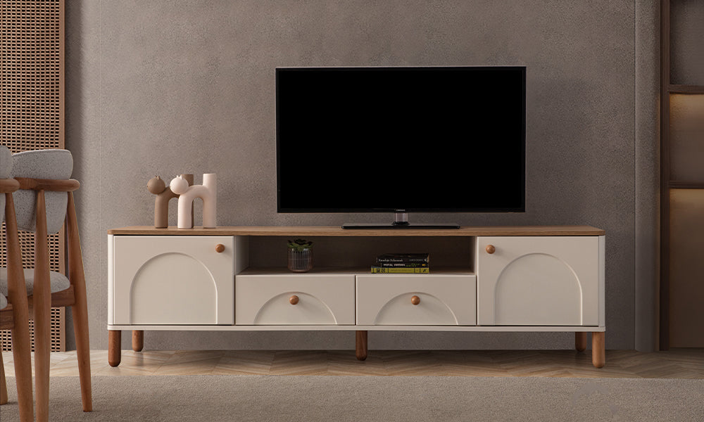 tera modern tv unitesi