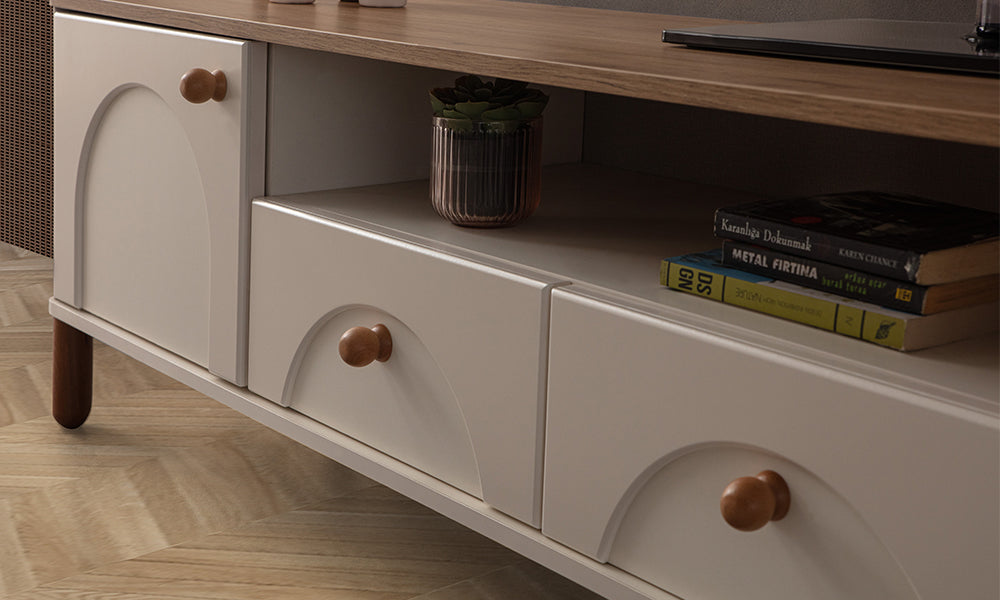 tera modern tv unitesi