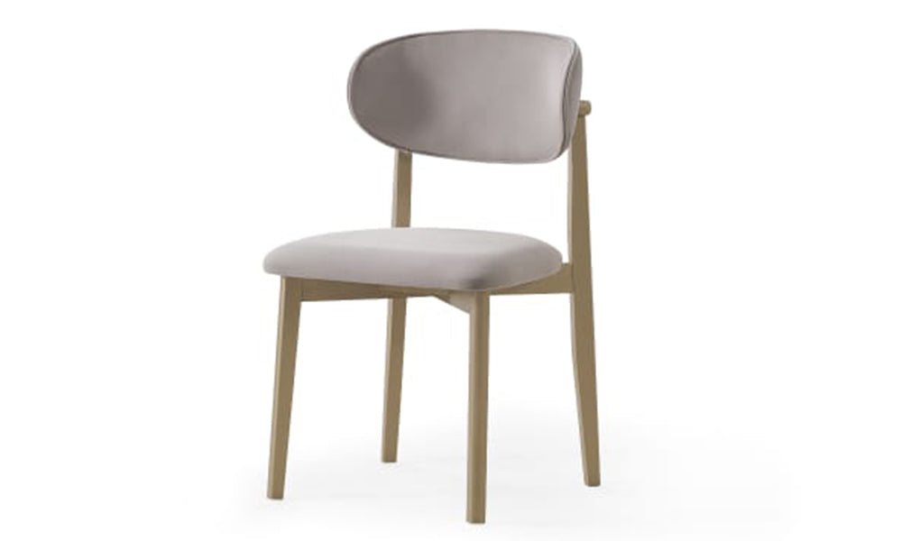 Assos Modern Yemek Odası Takımı