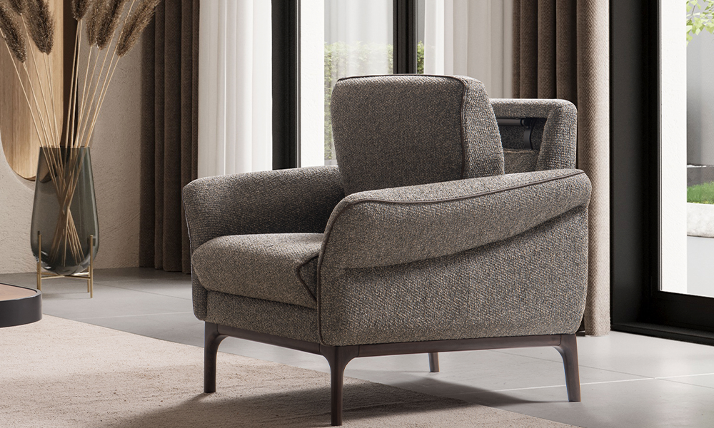 smart modern berjer