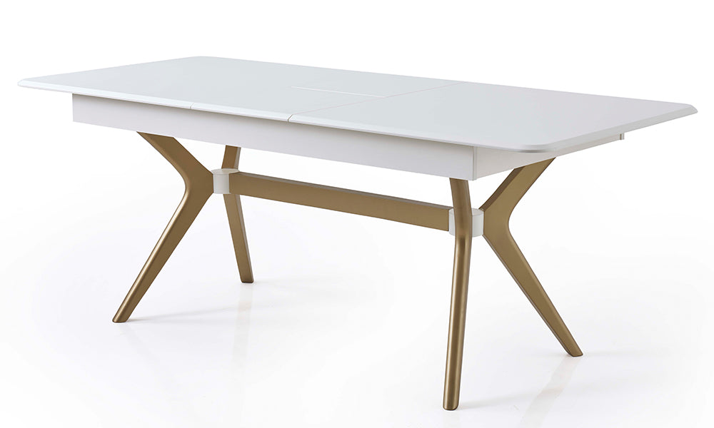 Asel Modern Yemek Odası Takımı