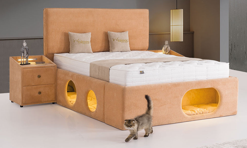 Modern yatak odasında Petra kedi yuvalı baza başlık, yan ve ön bölümlerindeki aydınlatmalı pati yuvaları ve yürüyen kedi